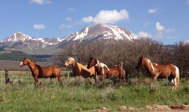 Mount Peale Country Inn La Sal Exterior foto